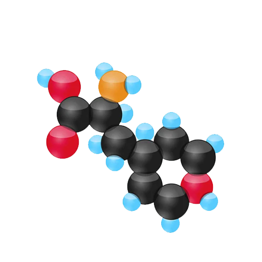 L-tirozin