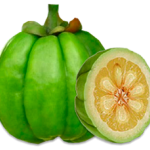 Купить продукцию Garcinia Cambogia