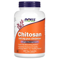 NOW Foods, хитозан, Chitosan, 500 мг, 240 растительных капсул